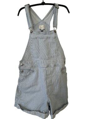 American Eagle Women Railroad Stripe blue white Overall Shorts Coastal Preppy